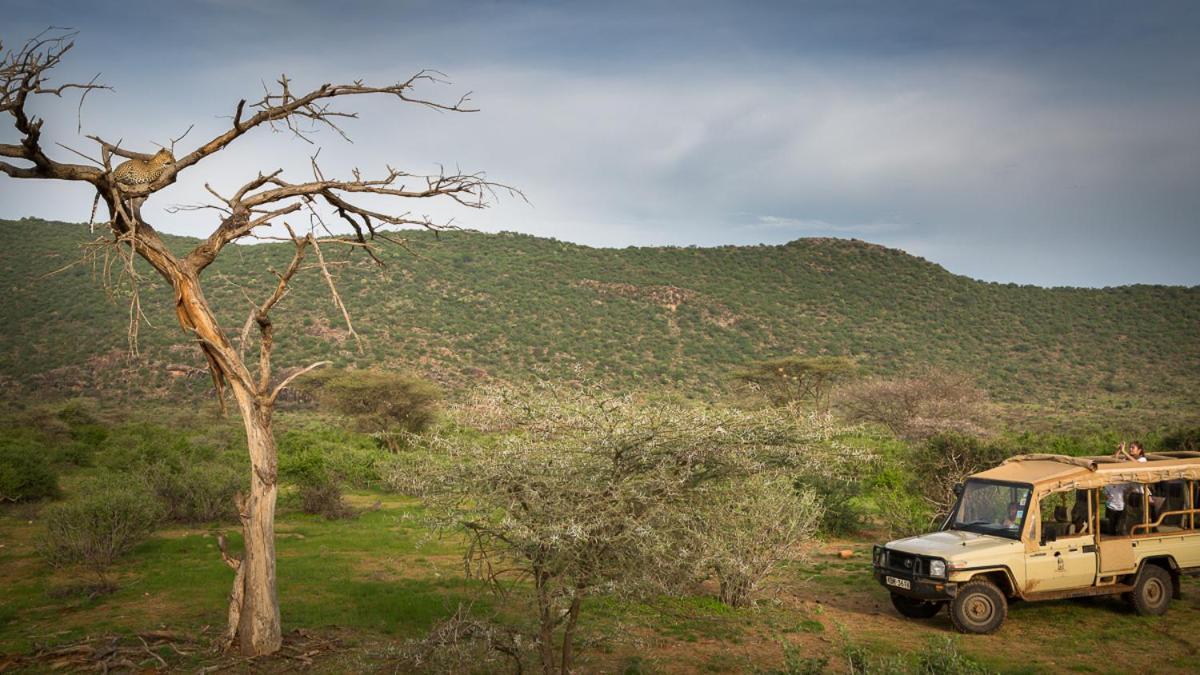 Elephant Bedroom Camp - Samburu Archers Post Exterior photo