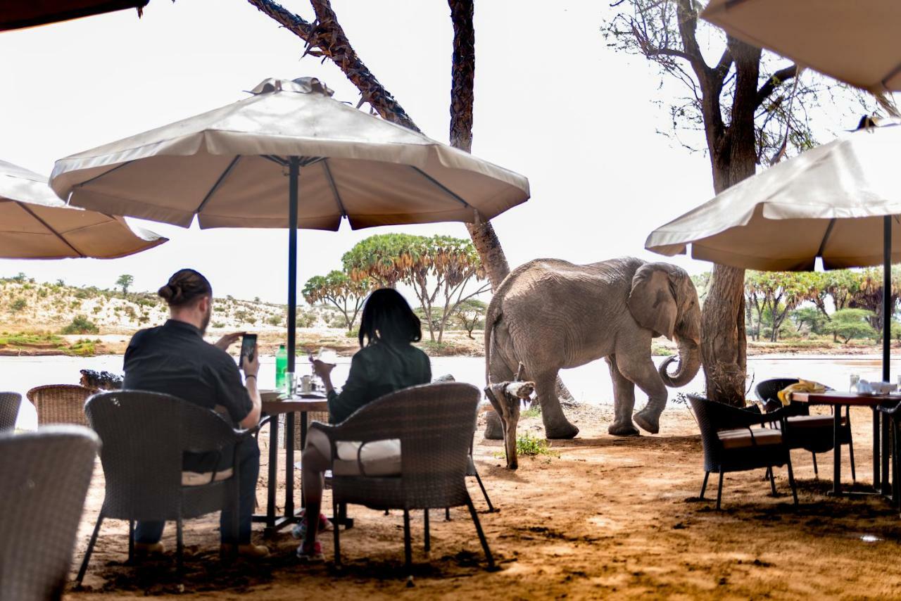 Elephant Bedroom Camp - Samburu Archers Post Exterior photo
