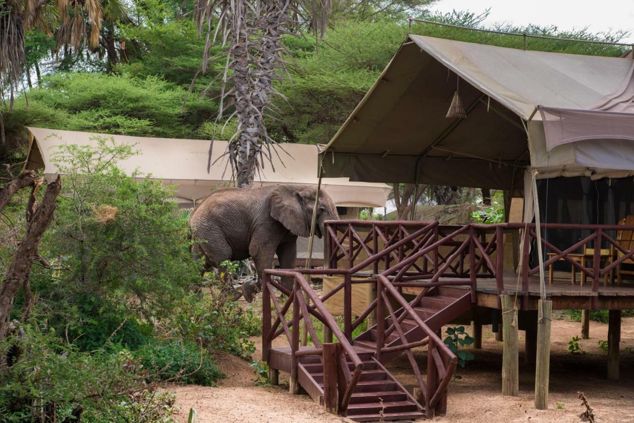 Elephant Bedroom Camp - Samburu Archers Post Exterior photo